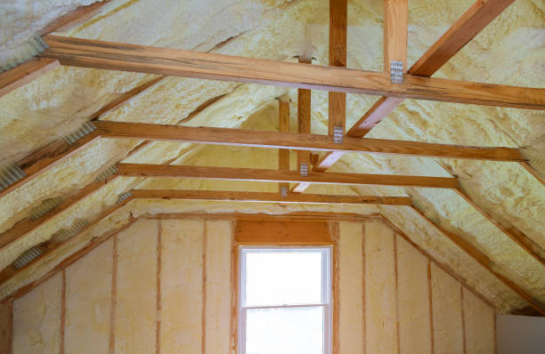 Best Best Insulation Companies  in Whiteville, TN