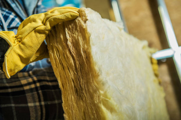 Best Insulation Inspection Services  in Whiteville, TN