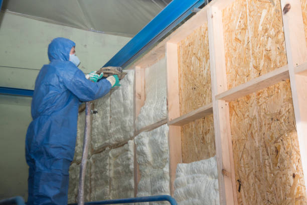Best Affordable Insulation Services  in Whiteville, TN