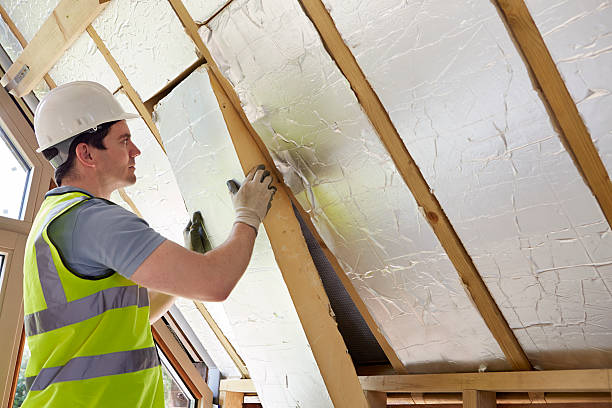Best Professional Insulation Contractor  in Whiteville, TN